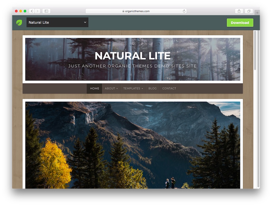 theme Natural Lite WordPress 