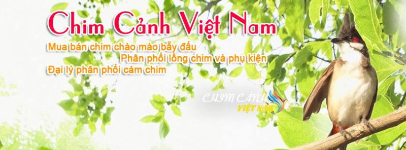 Chim Cảnh Việt Nam