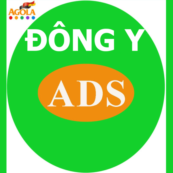 dong y